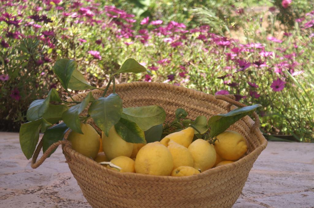 Agroturismo Es Pla De Llodra マナコル 部屋 写真